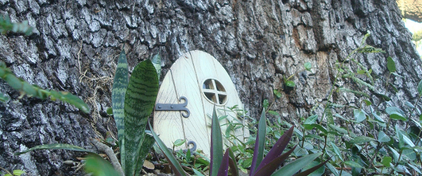 House in tree