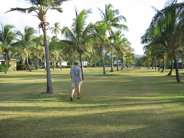 Luxurious green space