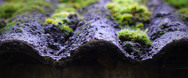 asbestos-roof-with-moss